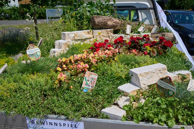 Bunte Blumen und Gemüse auf einem Auto mit Gewinnspiel-Schildern dekoriert.