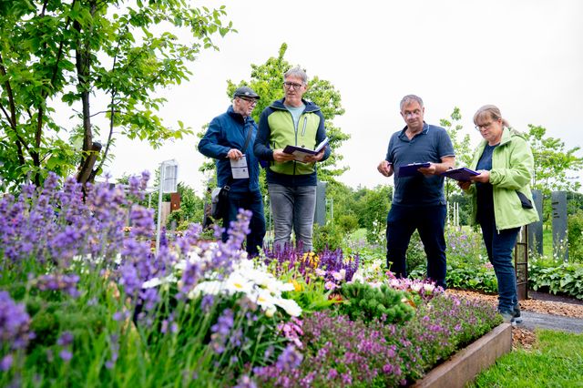Vier Personen bewundern blühende Lavendelfelder und halten Blumensträuße.