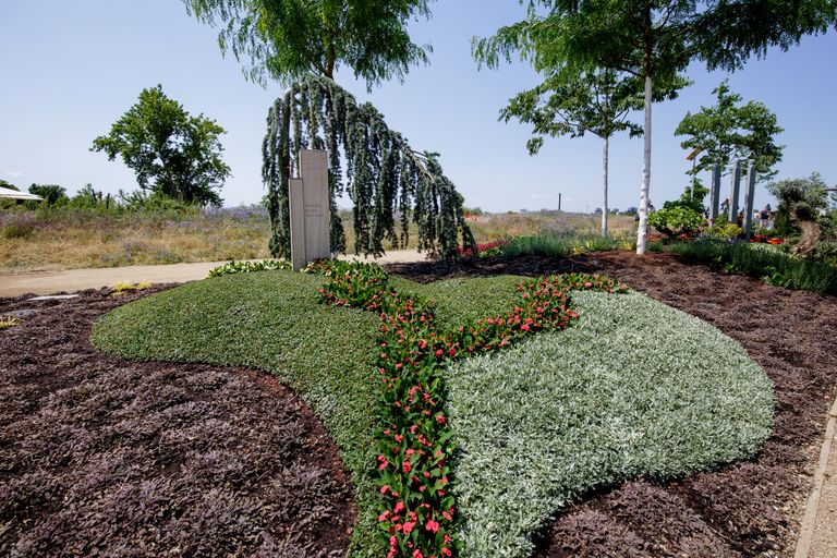 Sommer-Wechselbepflanzug auf der BUGA23: Bronze, Silber und Gold