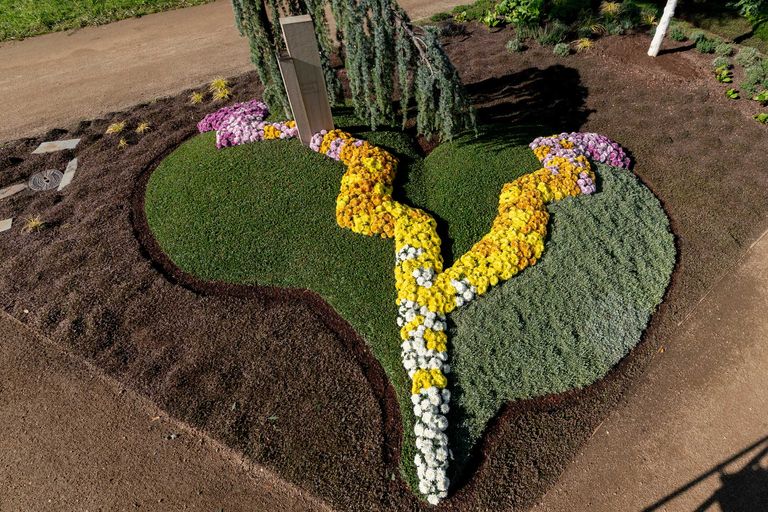 Herbstbepflanzung BUGA23: Heute unser Herz – das Mustergrab in fließender Form