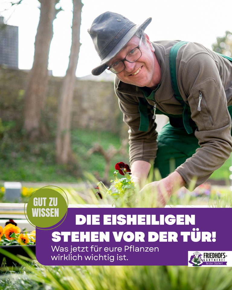 Die Eisheiligen stehen vor der Tür  – Was jetzt für eure Pflanzen wirklich wichtig ist