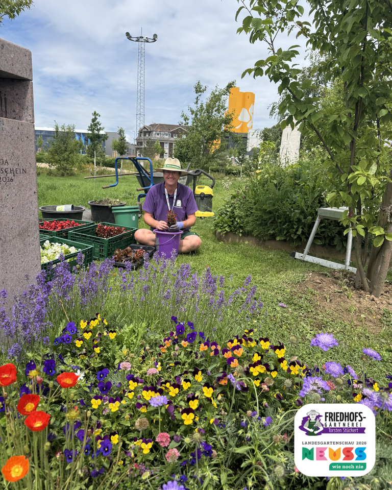 Mensch sitzt in blühendem Garten und pflückt Lavendel zwischen bunten Blumen.